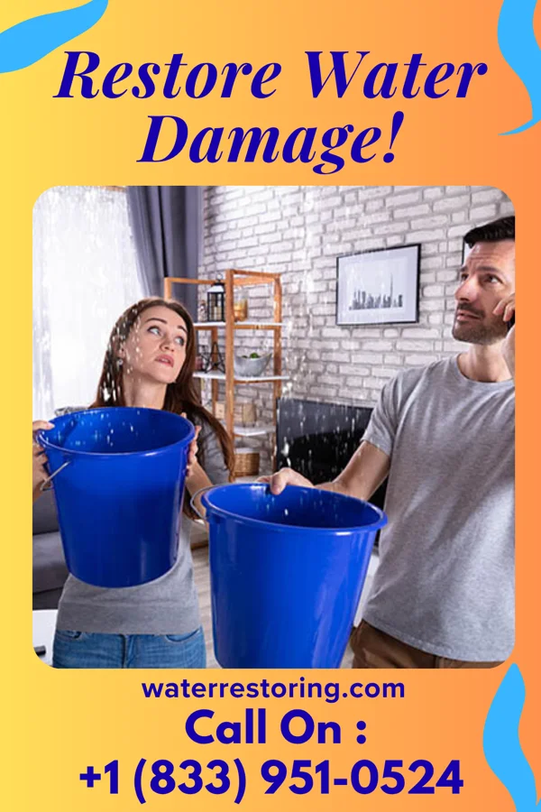 water restoration Peak Mitigation Force Richville