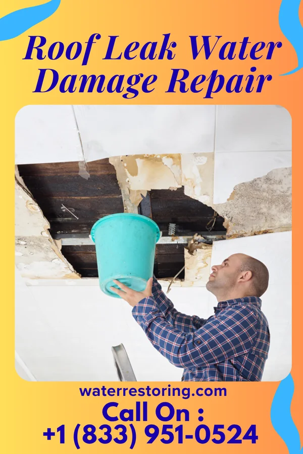 Roof Leak Water Damage Repair in Richville, NY