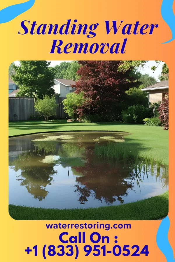 Standing Water Removal in Richville, NY